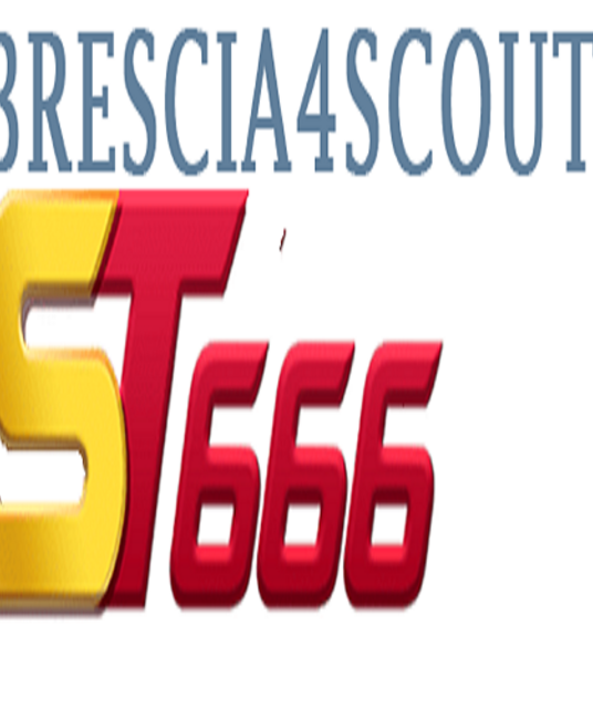 avatar ST666 bres