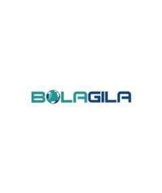 avatar Bolagila