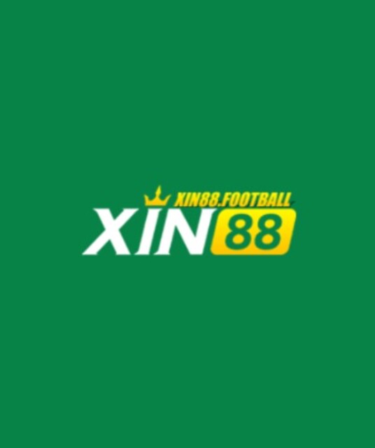 avatar Xin88 